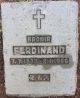 Bróðir Ferdinand